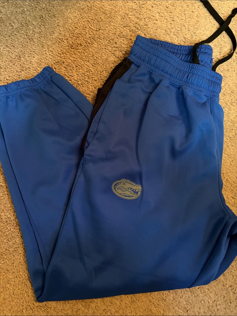 Florida Gator Jordan Brand Blue Athletic Track Pants